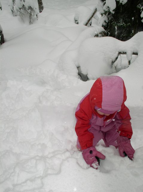 Frog Lake Snowshoe Jan 21 2005 025 